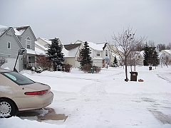 014 A2 Snowfall & Trees [2008 Dec 20]